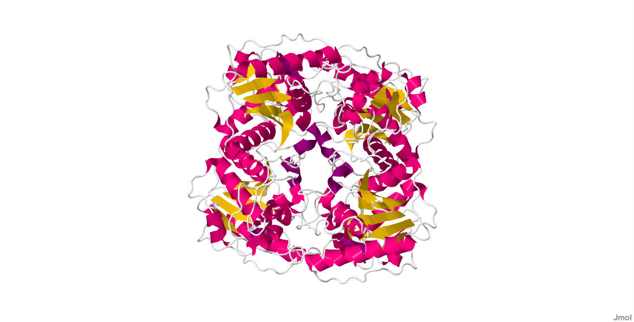 EcdysonePhosphatePhosphatase.jpg