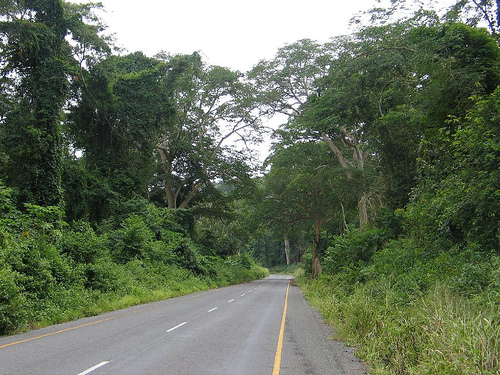 File:Estrada Caxito-Uíge.jpg