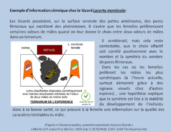 Communication Animale: Différence entre communication et information, Différentes approches de la communication animale, La chaîne de transmission de linformation