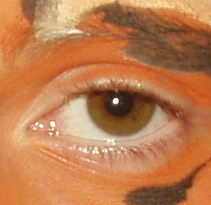 File:Eye1right.jpg