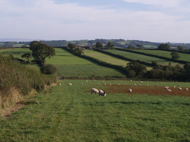 File:Farmland north of Sheepwash - geograph.org.uk - 534569.jpg