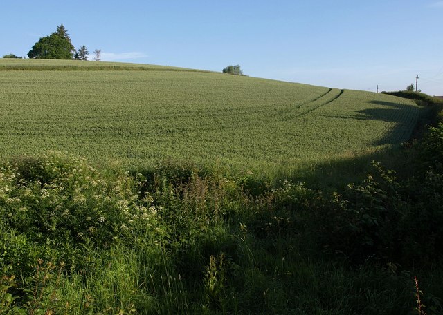 File:Field by Longdrag Hill - geograph.org.uk - 2445370.jpg