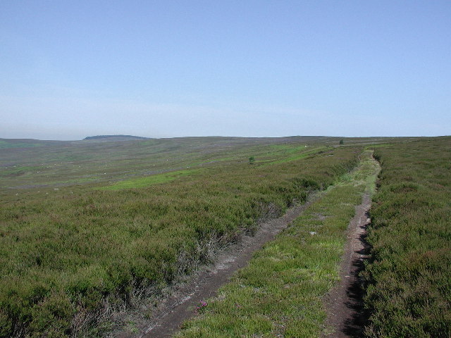 Gisborough Moor