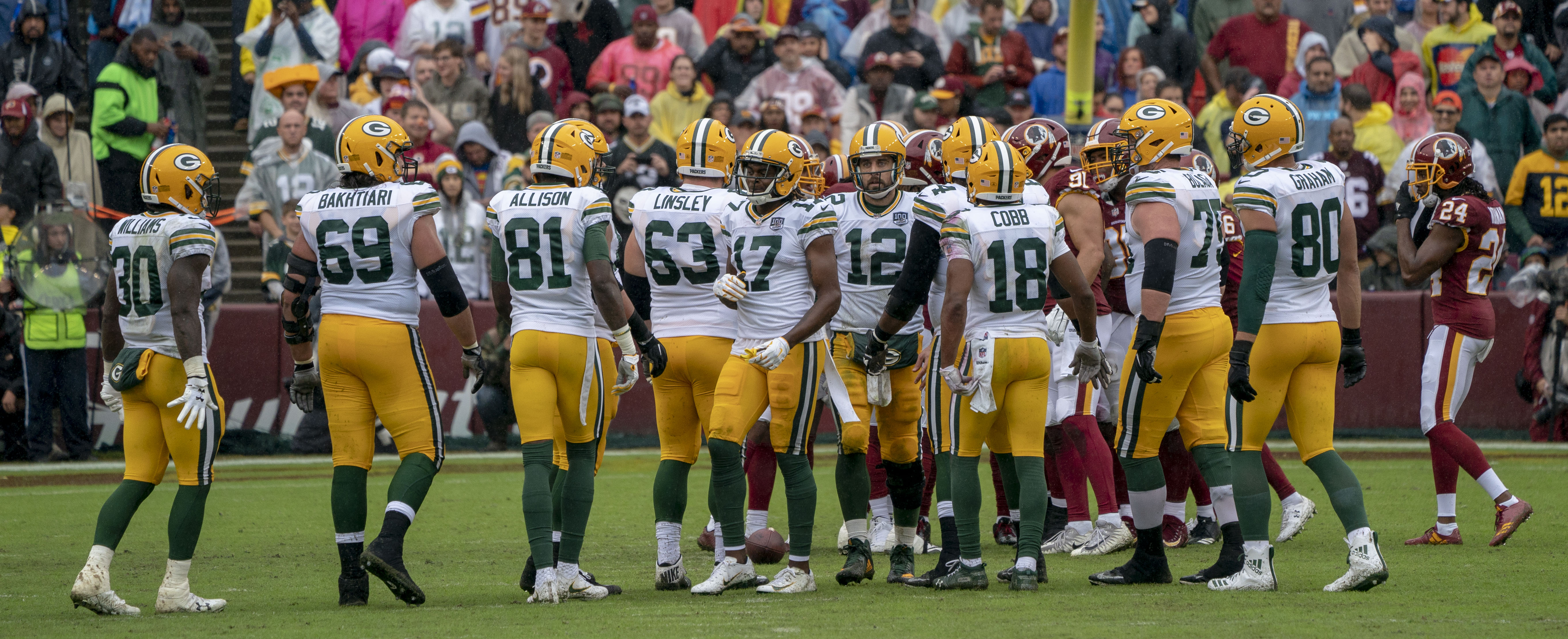 Green Bay Packers, American Football Wiki