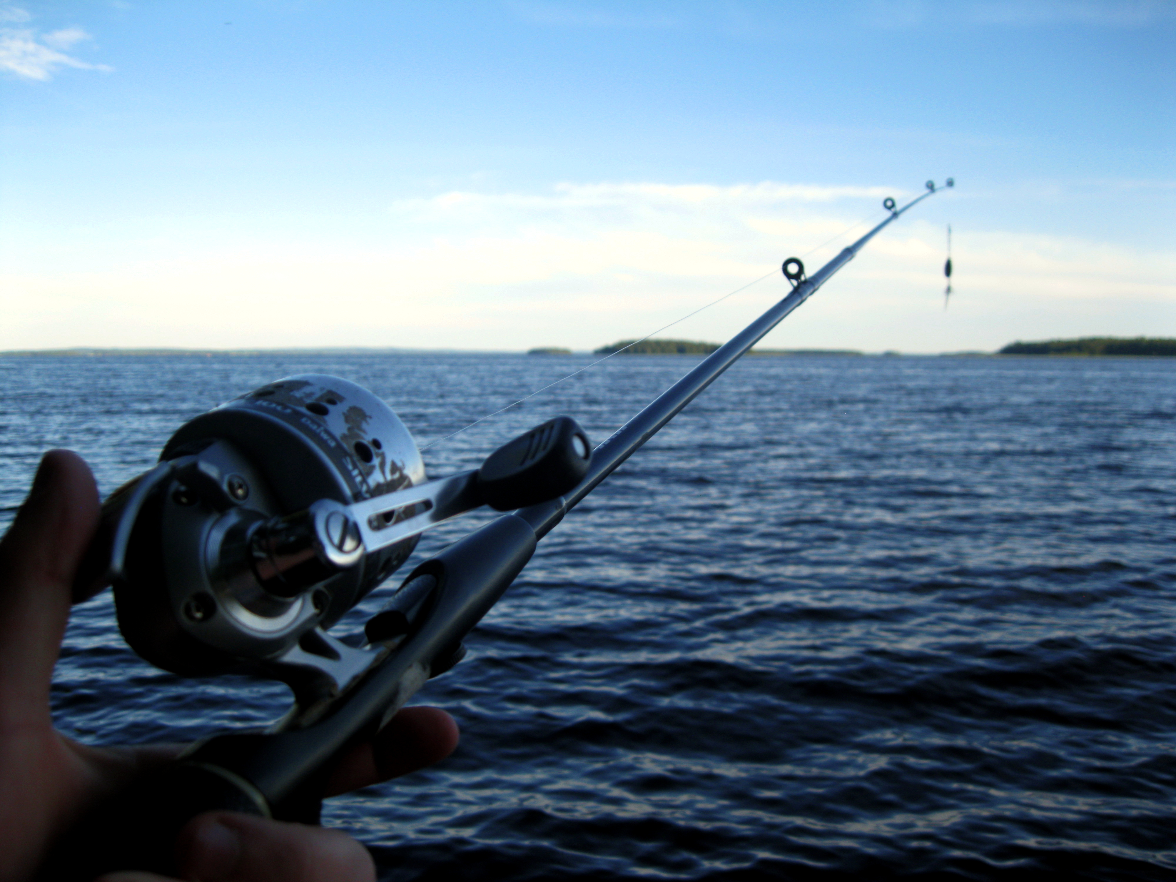 A close up of a fishing pole on a body of water. Fishing fishing rods  danube. - PICRYL - Public Domain Media Search Engine Public Domain Search