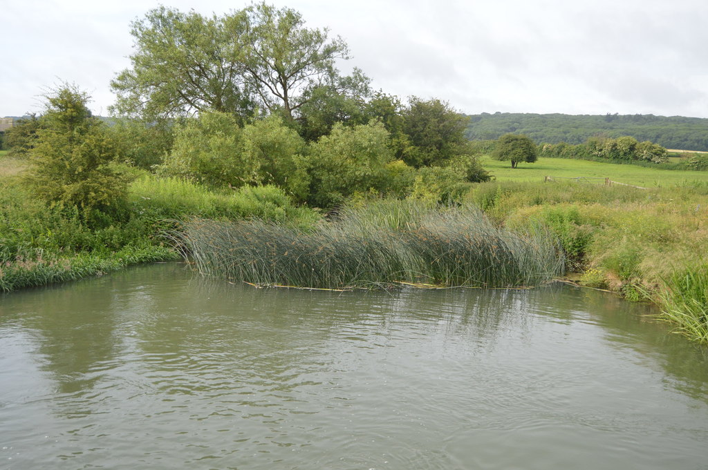 Wytham Ditches and Flushes