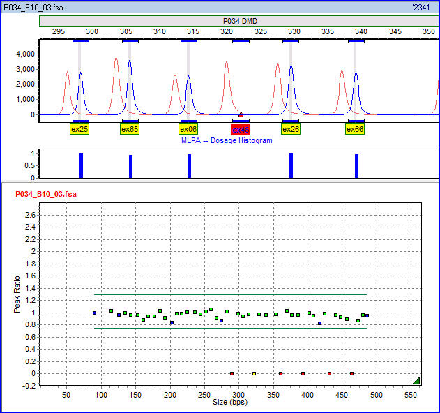 File:MLPA in GeneMarker.jpg