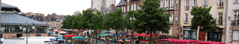 File:Marche des Lices mise en place 03 cropped.jpg