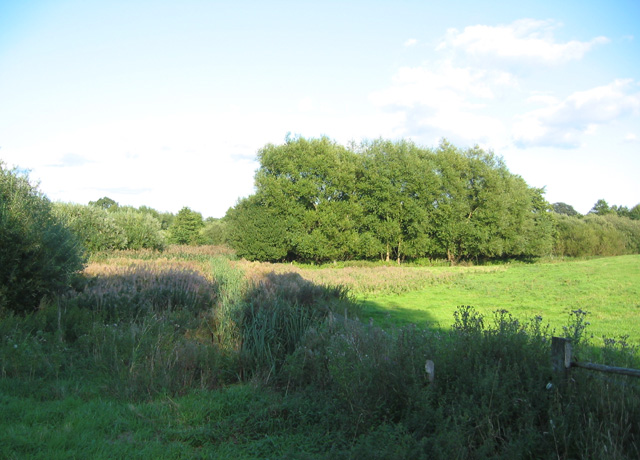 Marshland adjacent to Cocked Hat - geograph.org.uk - 234881