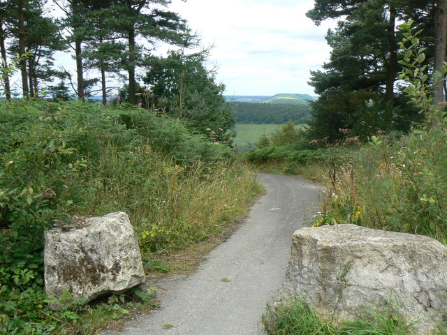 Moor Road Wykeham Forest - geograph.org.uk - 1033201