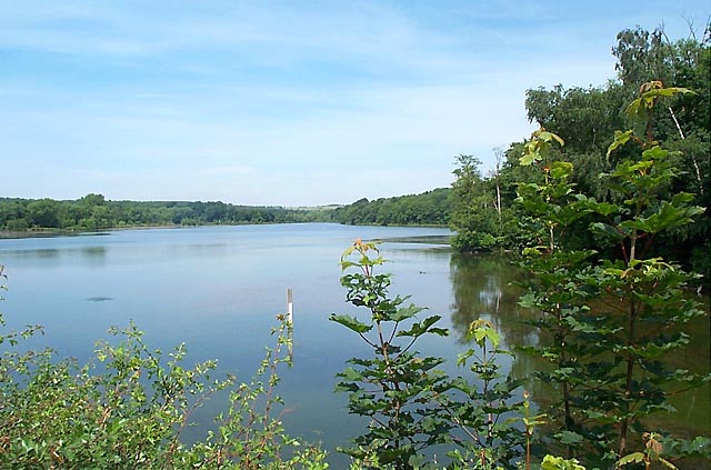 Moorgreen Reservoir - geograph.org.uk - 16377