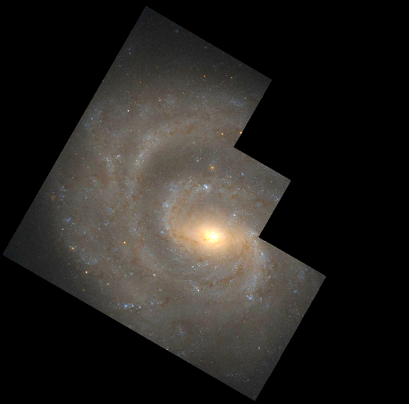 NGC 1637.jpg