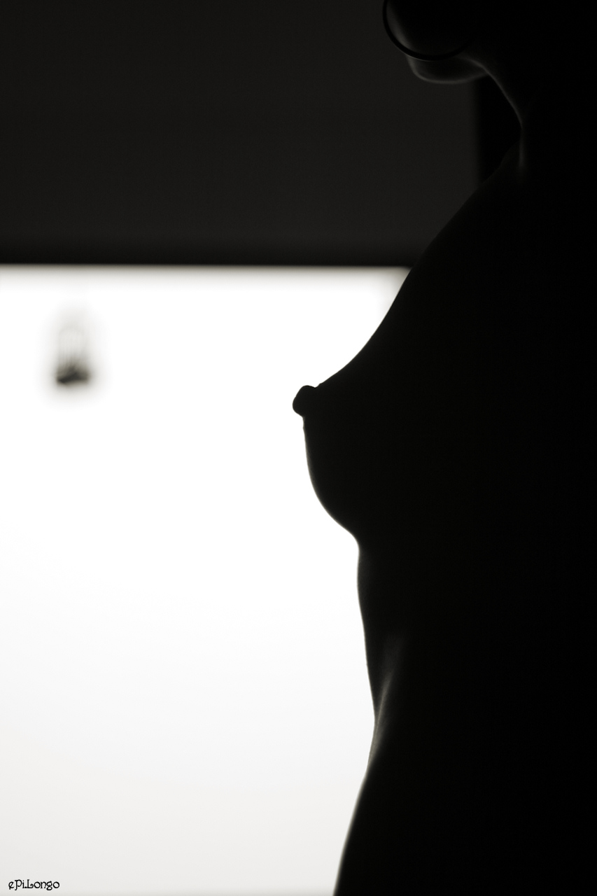 File:Nipple Silhouette.jpg - Wikimedia Commons