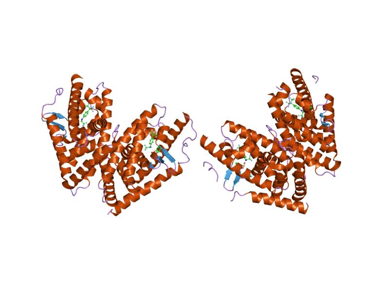 File:PDB 1pq9 EBI.jpg