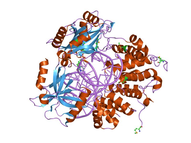 File:PDB 1x9n EBI.jpg