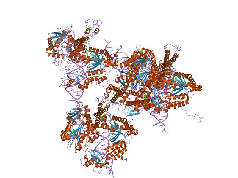 PDB_2dy4_EBI.jpg