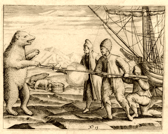 File:Polar bear, Gerrit de Veer (1596).jpg