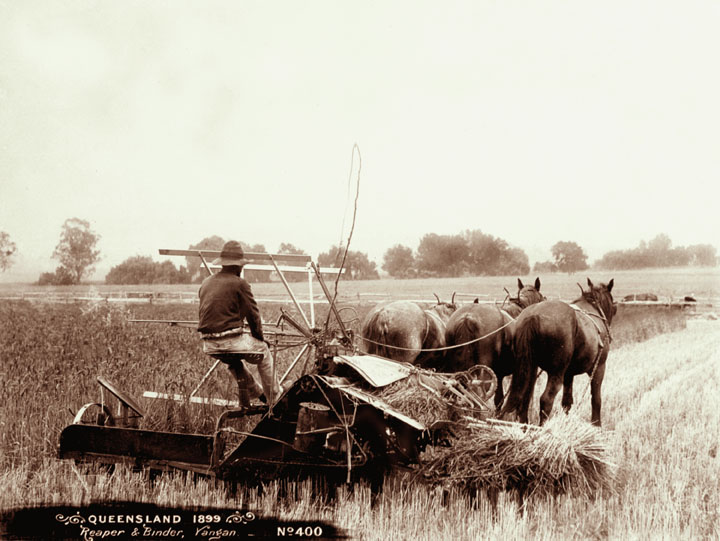 File:Queensland State Archives 2378 Reaper and binder at Yangan 1899.png