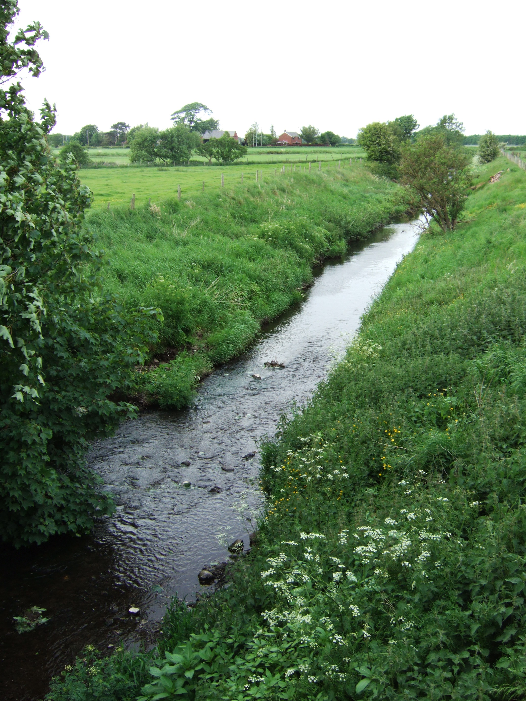 River Tawd