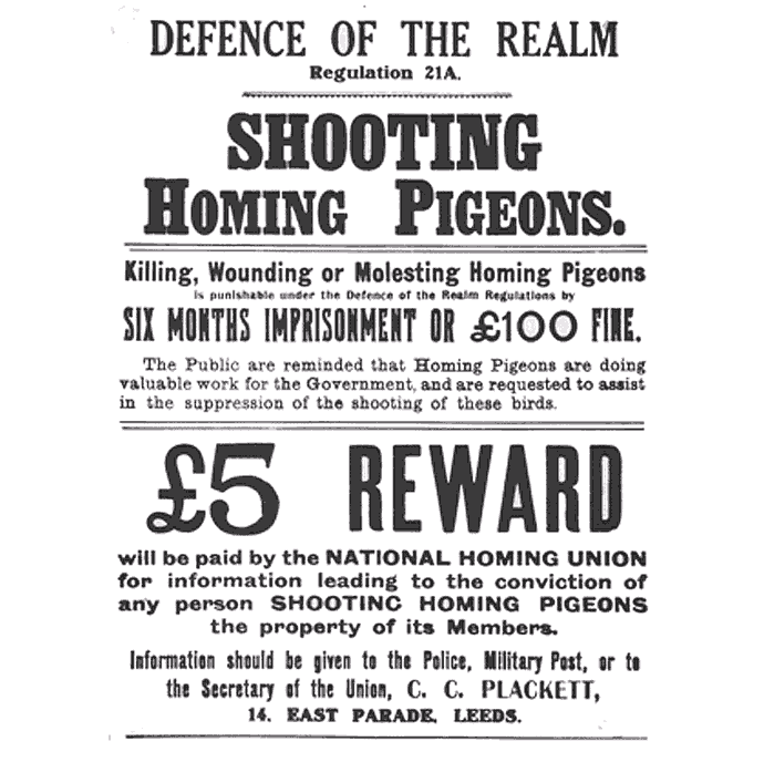 History By Mail - WWI-era British poster against the killing of war pigeons as a offense under the "Defense of Realm Act."