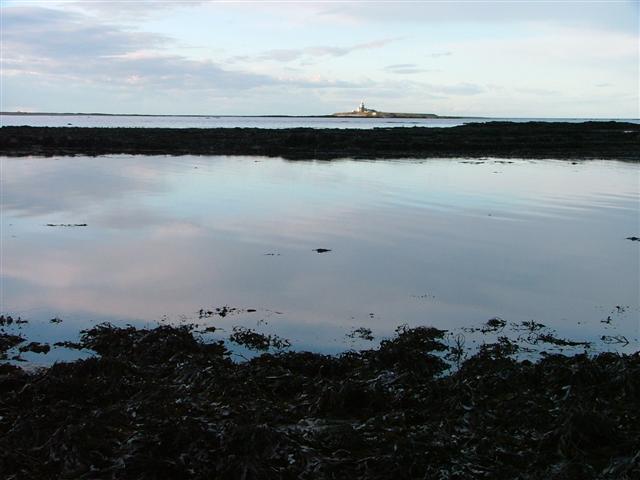 File:Silver Carrs - geograph.org.uk - 149349.jpg