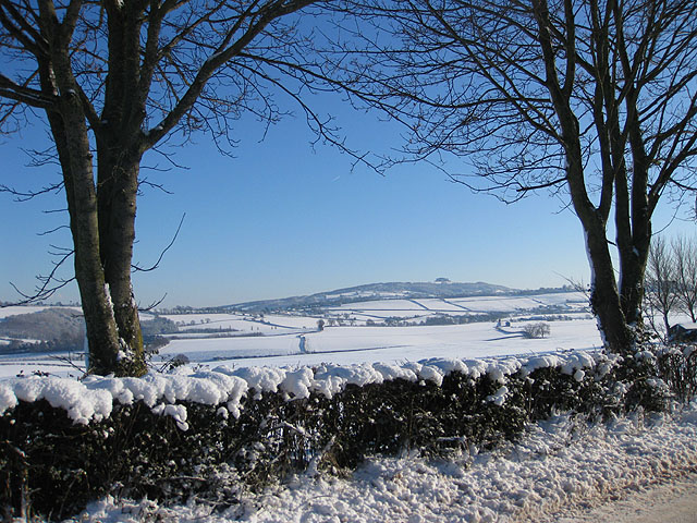 File:Snow-covered fields - geograph.org.uk - 1651450.jpg