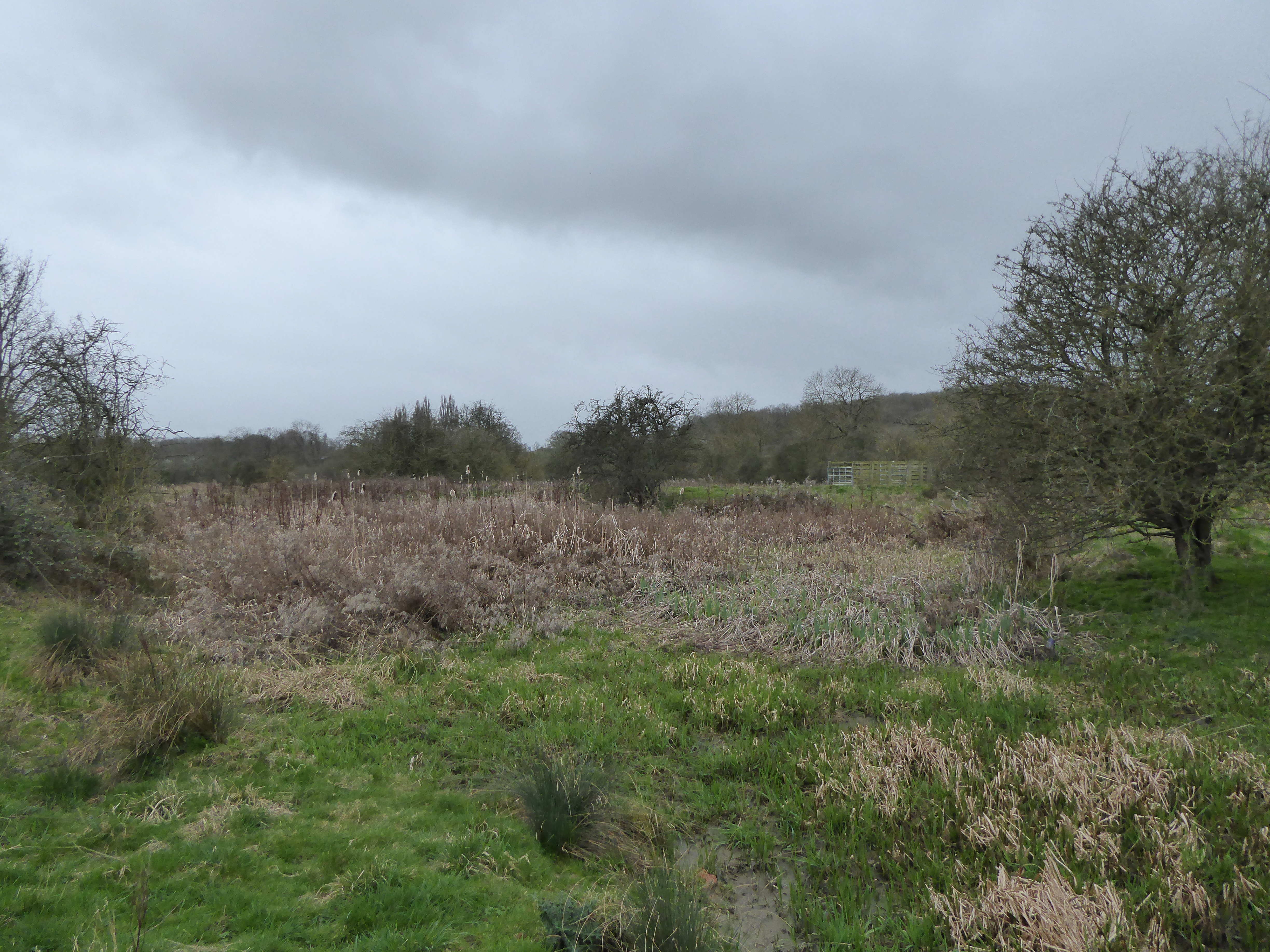 Stoke Bruerne Brick Pits