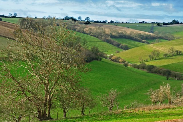 File:Sun light on Ashgrove Bottom - geograph.org.uk - 336297.jpg