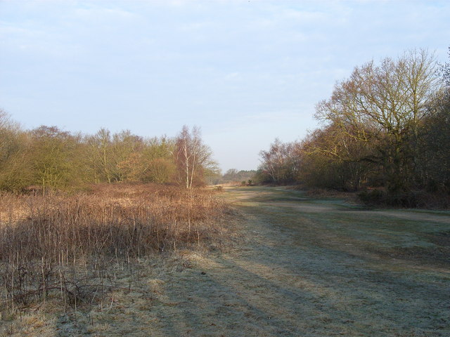 The heath above Hartley Wintney - geograph.org.uk - 141098