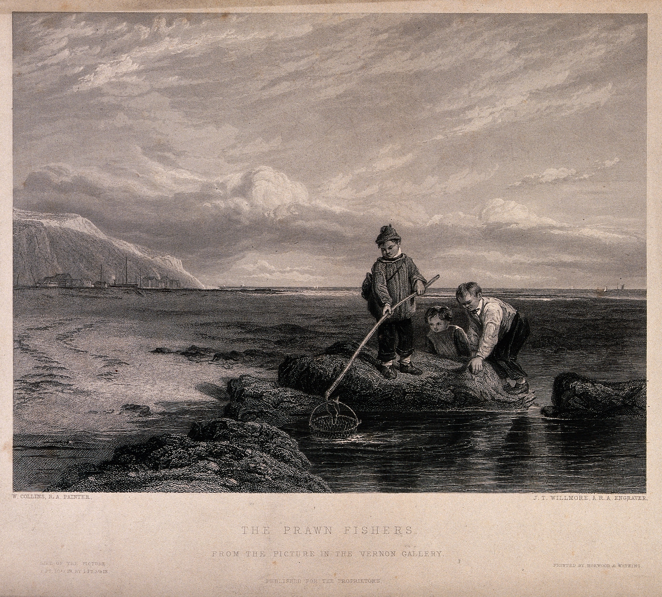 File:Three young boys are fishing in rock pools with a large net