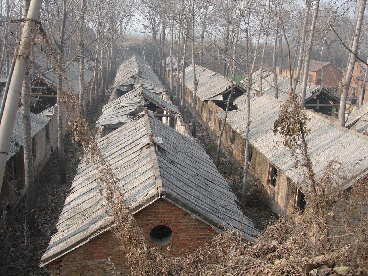 Abandoned village reclamation. Villagers in an abandoned Village.