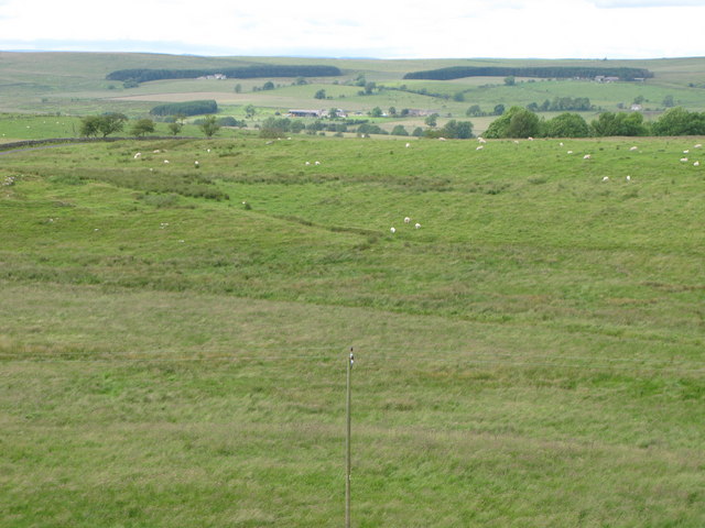 File:Wark Common (2) - geograph.org.uk - 488969.jpg