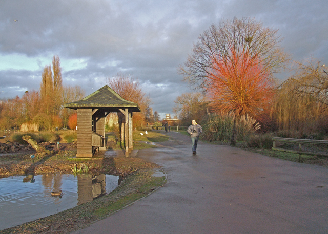 Wildfowl and Wetlands Trust, Slimbridge - geograph.org.uk - 829083