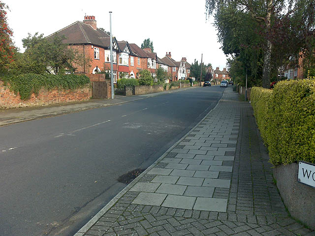 File:Woodland Grove, Chilwell - geograph.org.uk - 1439903.jpg