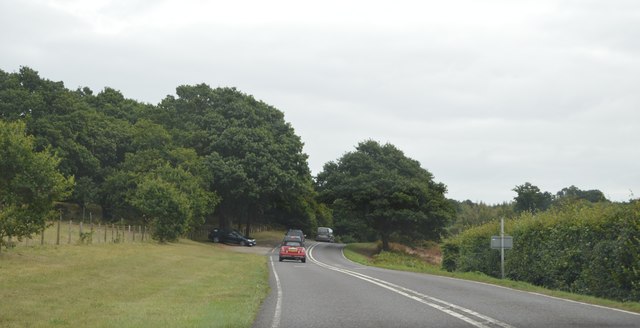 File:A272, Cowdray Park - geograph.org.uk - 5222352.jpg