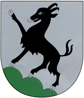 File:AUT Kitzbühel COA.png