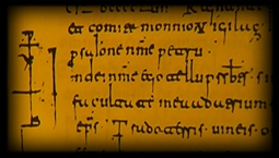 The Visigothic Cartularies of Valpuesta were declared in 2010 by the Spanish Royal Academy as the record of the earliest words written in Castilian, predating those of the Glosas Emilianenses.[6]