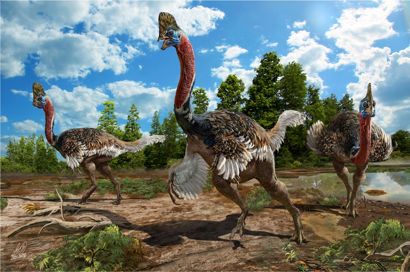 Corythoraptor life restoration.png