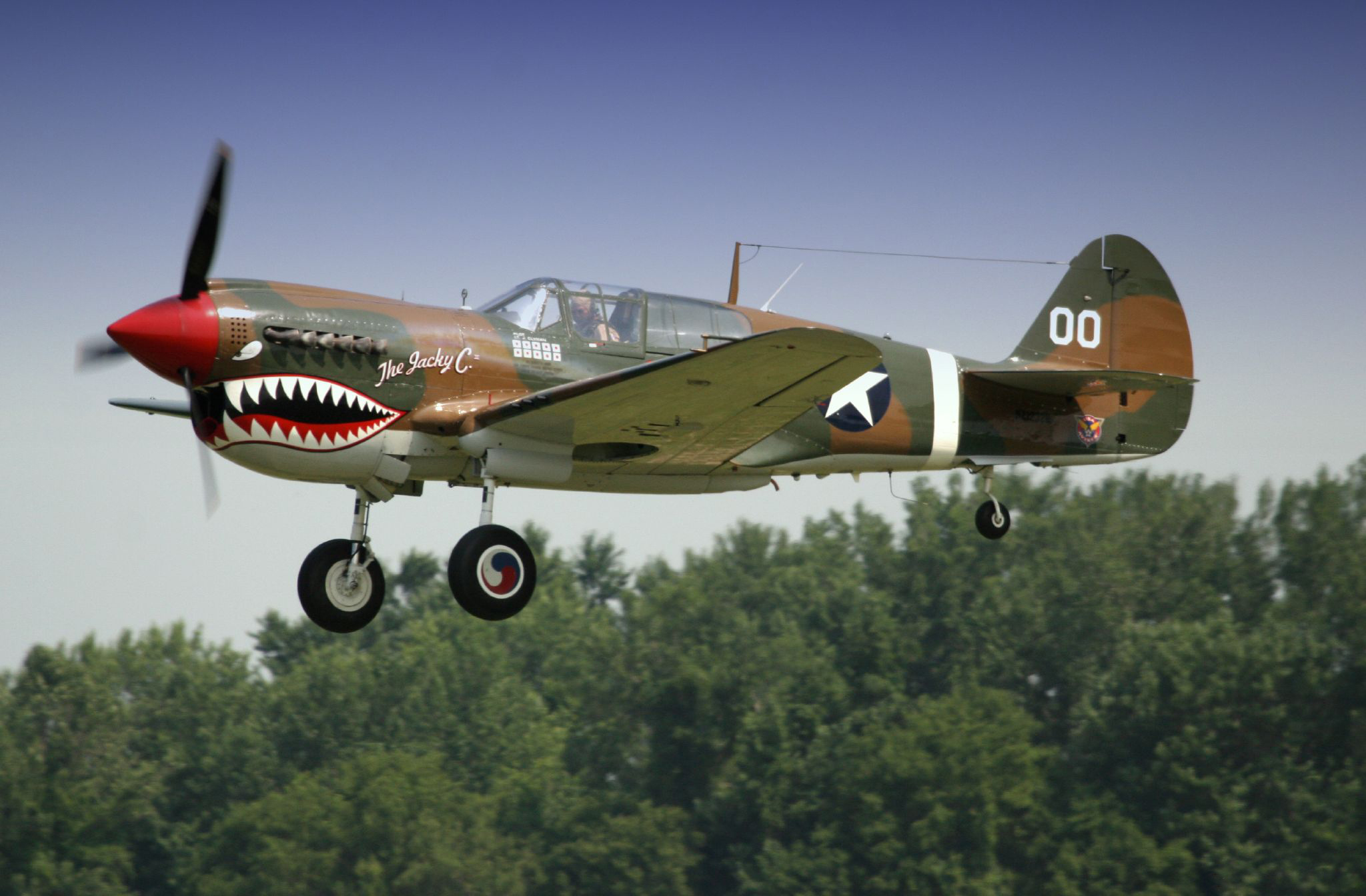 Uncovering the Power of the Curtiss P-40 Warhawk During World War II