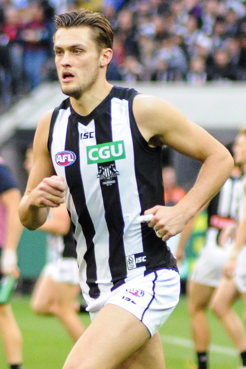 File Darcy Moore 2017 3 Jpg Wikimedia Commons