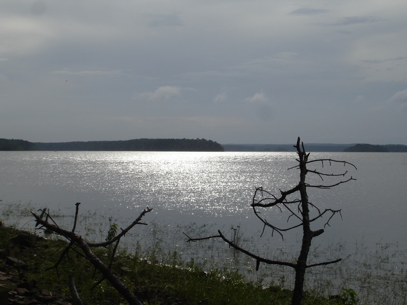 File:Degray Lake Resort State Park 001.jpg