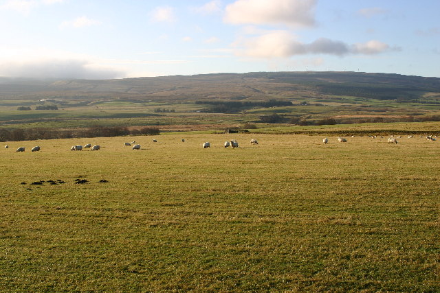 File:Farmland near Kirkconnel - geograph.org.uk - 89007.jpg
