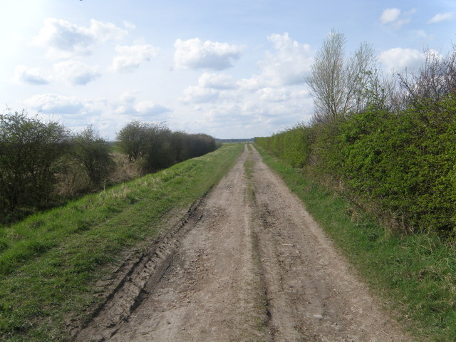 File:Fen drain embankment - geograph.org.uk - 1243416.jpg