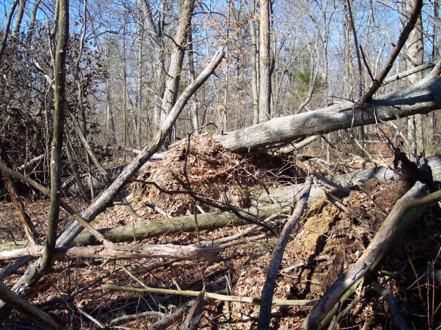 File:Fentress EF1 TN tornado damage 2009.jpg