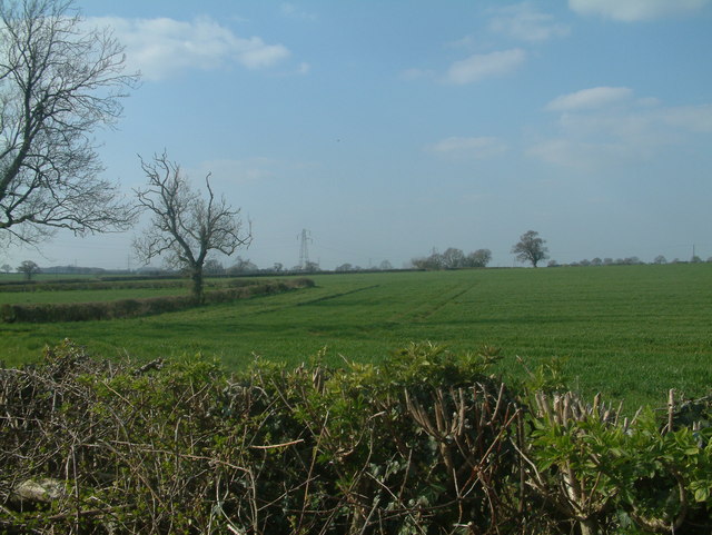 File:Fields in view - geograph.org.uk - 392626.jpg