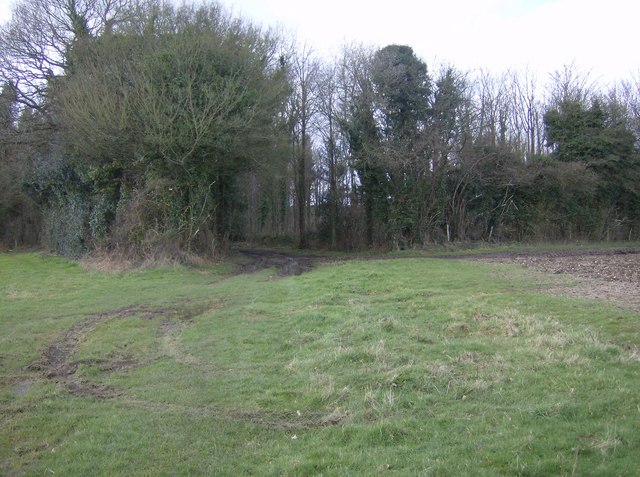 File:Footpath to Markwells Wood - geograph.org.uk - 353947.jpg