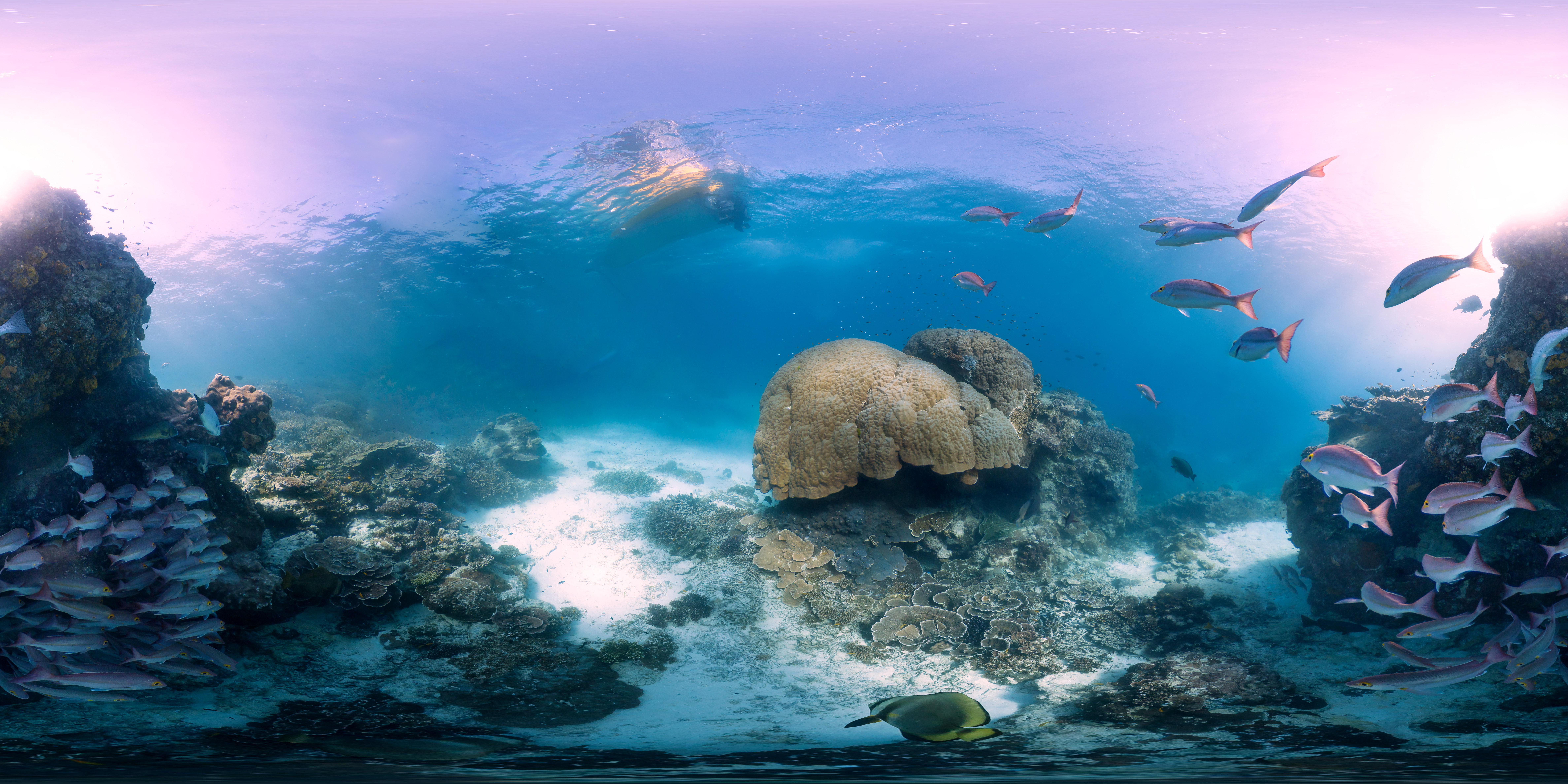 I. Introduction to Panoramic Underwater Photography