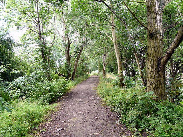 Highfield Country Park - geograph.org.uk - 1376100
