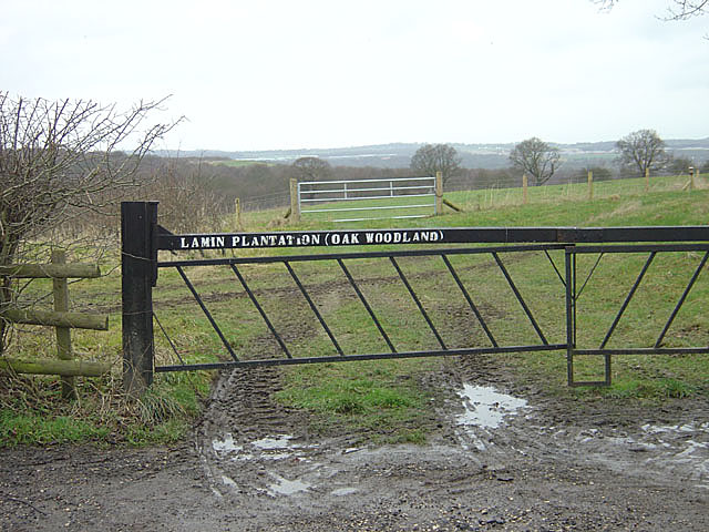 File:Lamin Plantation (Oak Woodland) - geograph.org.uk - 661568.jpg