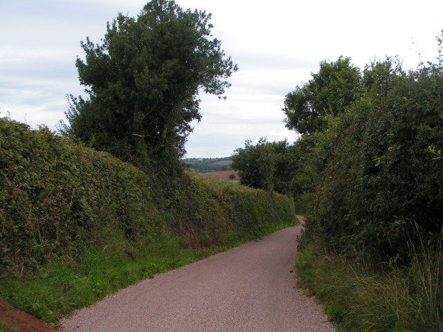 File:Lane heading north west near Furze - geograph.org.uk - 1467801.jpg